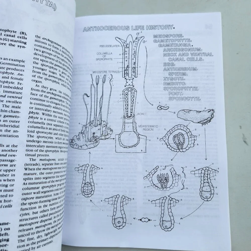 NEW Botany Coloring Book Adult High School Paperback High School Science Activit